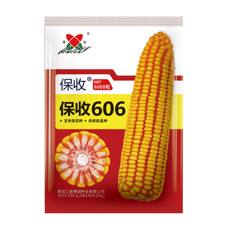玉米种子-保收606