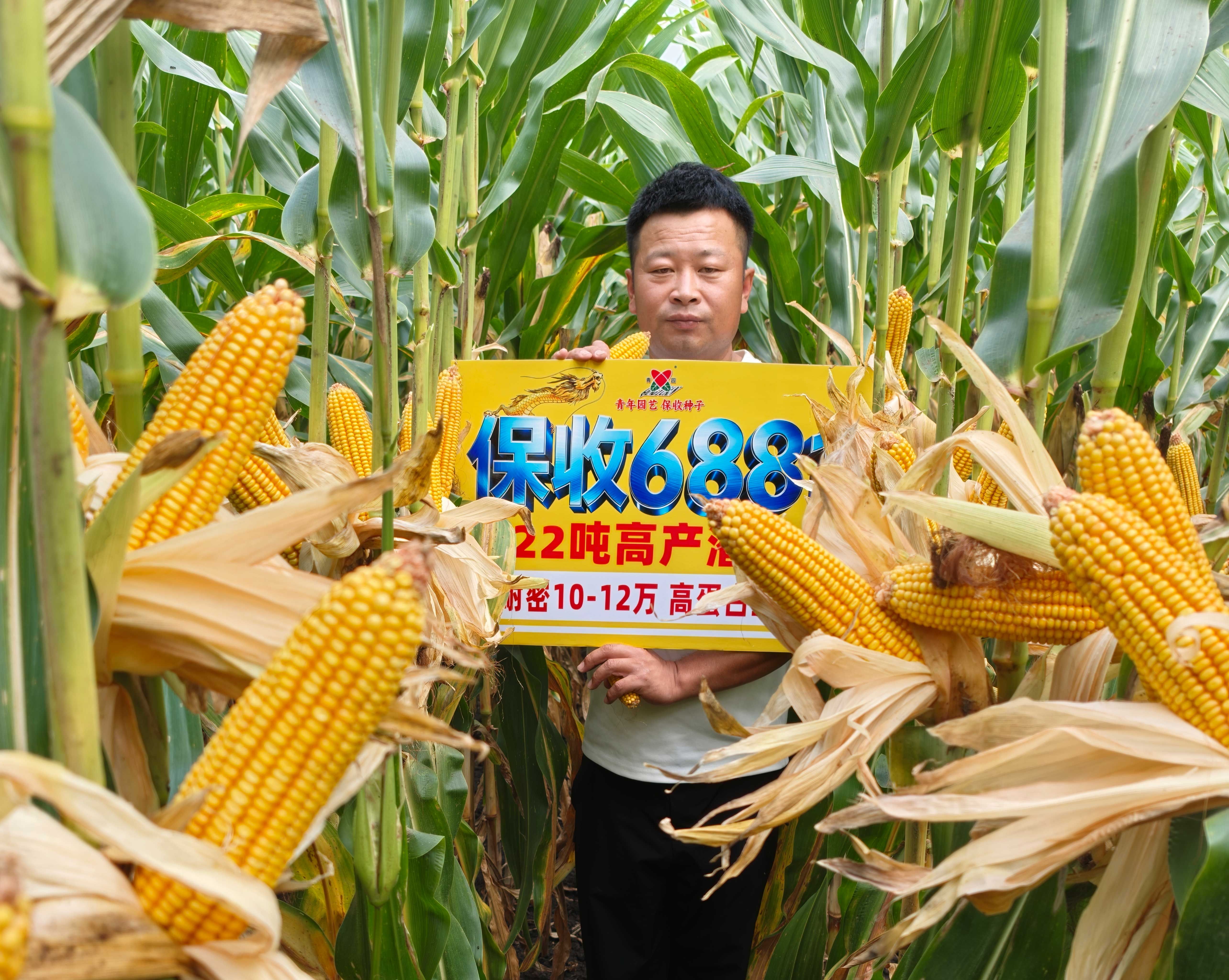 保收6881在铁力市丰产丰收